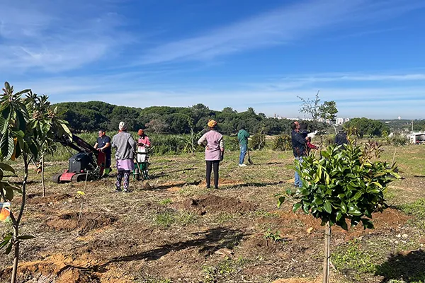 Planting Actions | Community Garden, Mónica de Miranda