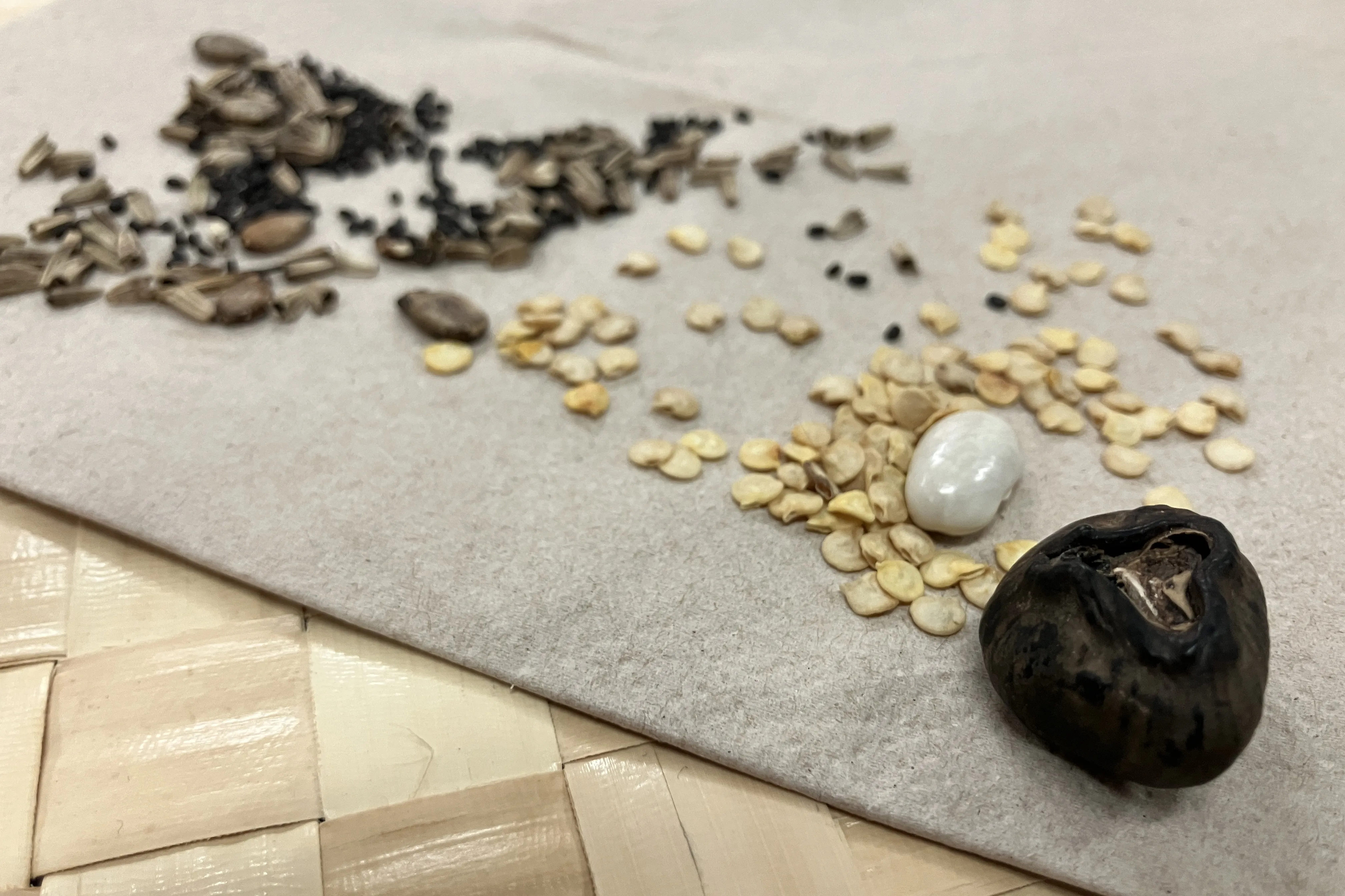 The Earthly In-Common: An Ecopoetic Tea Circle