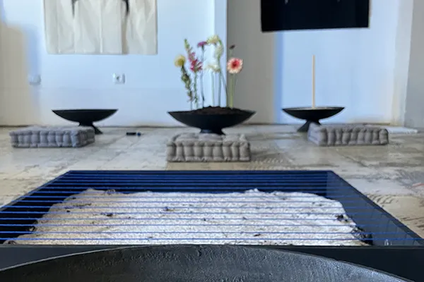ECOMANCY: A Garden of Forking Paths