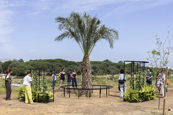 Earthworks, by Mónica de Miranda - Jardins da Princesa